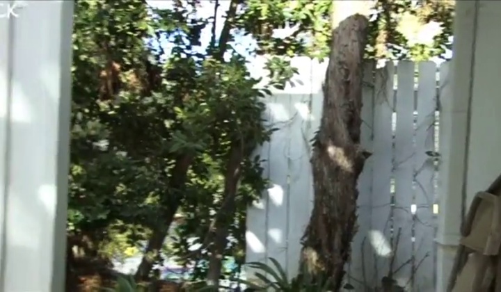 Asian Lesbian Dominates Victim, Forced Orgasm
