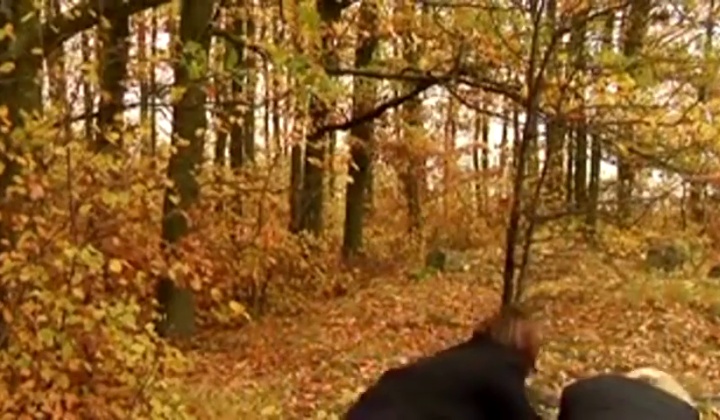 Lesbians Trapped Together in Intimate Escape