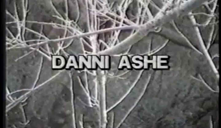 Lesbians Danni Ashe Fight Turns Sexual