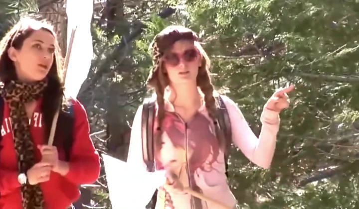 [sawyer] in the woods lesbian faye reagan ?